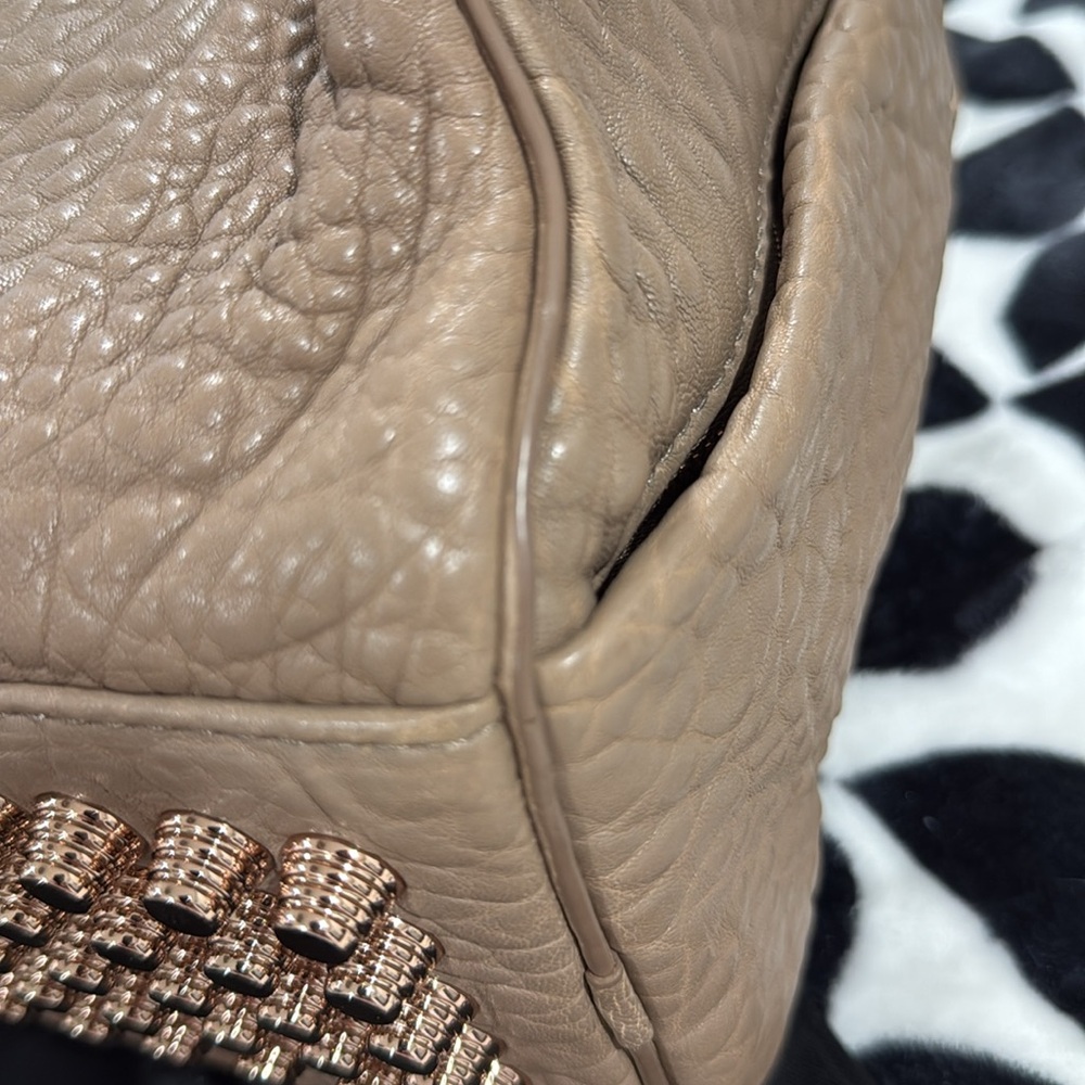🚫 SOLD 🚫 Alexander Wang Rocco Handbag in Latte with Rose Gold Hardware - Picture 8 of 16